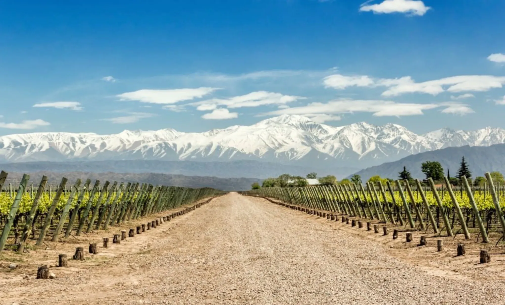 Vinícola em Mendoza